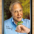 David Attenborough Planet Earth Signed Autographed Photo Poster tv564 A4 8.3x11.7""