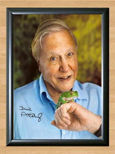 David Attenborough Planet Earth Signed Autographed Photo Poster tv564 A4 8.3x11.7""