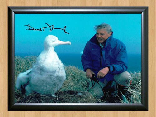David Attenborough Blue Planet Signed Autographed Photo Poster tv563 A4 8.3x11.7""