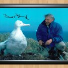 David Attenborough Blue Planet Signed Autographed Photo Poster tv563 A4 8.3x11.7""