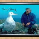 David Attenborough Blue Planet Signed Autographed Photo Poster tv563 A3 11.7x16.5""