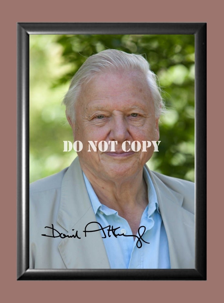 David Attenborough Signed Autographed Photo Poster A2 16.5x23.4"" TV1146A2