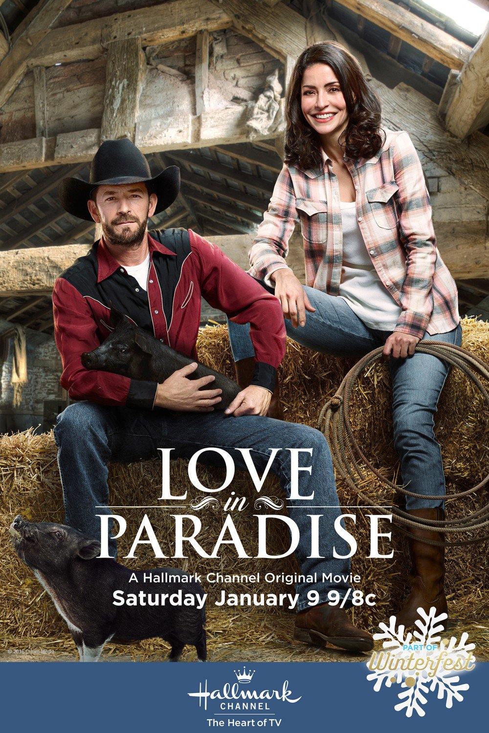 Love in Paradise DVD 2016 Hallmark Movie Emmanuelle Vaugier Luke Perry