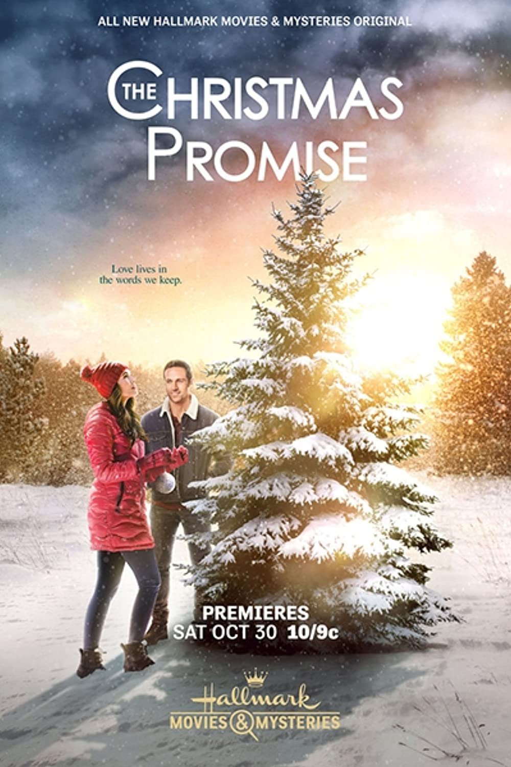 The Christmas Promise DVD 2021 Hallmark Movie Torrey DeVitto Dylan Bruce