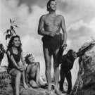 Tarzan Complete 12 Movies on DVD Johnny Weissmuller