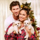 Christmas Unleashed DVD 2019 Lifetime Movie