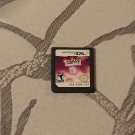 Nintendo DS Miami Nights Single In The City