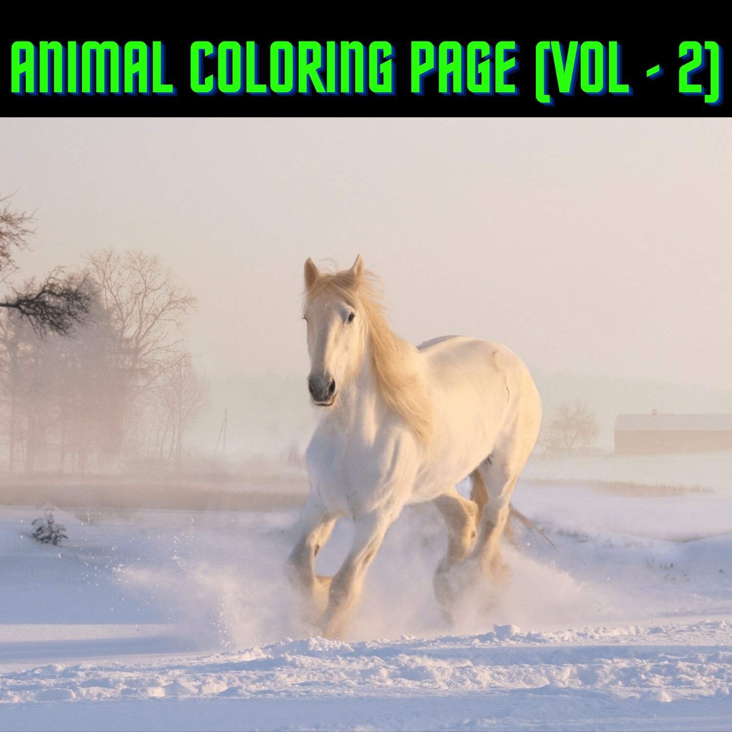 High Quality Animal Coloring Book for Children or Kids With Instant Download. (VOL - 2)