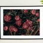 Gallery Wall art, Flower Art, Rose Printable Art & Water Line Art, Home Decor Art.