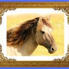 Horse Face Printable Art, Animal Beauty Printable Art & Water Line Art, Home Decor Art.