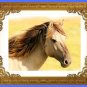 Horse Face Printable Art, Animal Beauty Printable Art & Water Line Art, Home Decor Art.