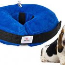 After Pet Surgery Recovery Dog Collar