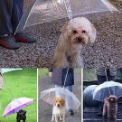 Dog Walking Pet Umbrella