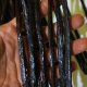 Vanilla Beans