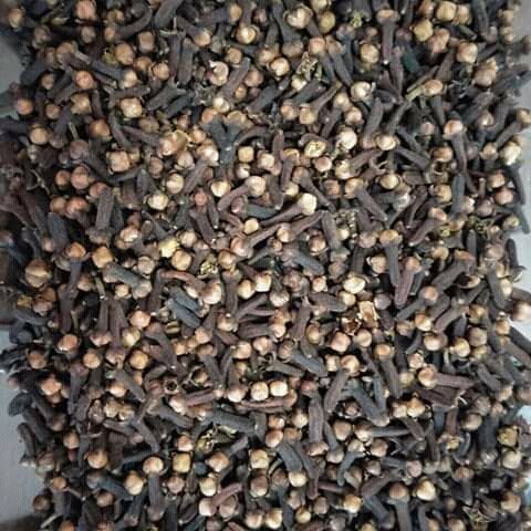 Clove