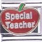 Special Teacher