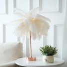 Glam Feather Lamp