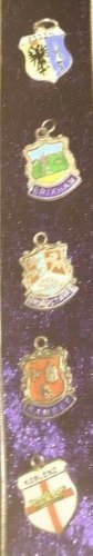8 ASSORTED ENAMEL SILVER TRAVEL SOUVENIR CHARMS