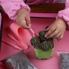 New 4pcs Plant Transplanting Tool Set Botany Gardening Tools Set Combination