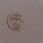 artist:: Faithless title: Bring My Family Back label: Arista (Loose) Used 12" Promo