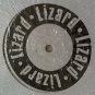 Artist: Unknown Label: Lizard (Used) Dance Club DJ Electro 12" Vinyl Record