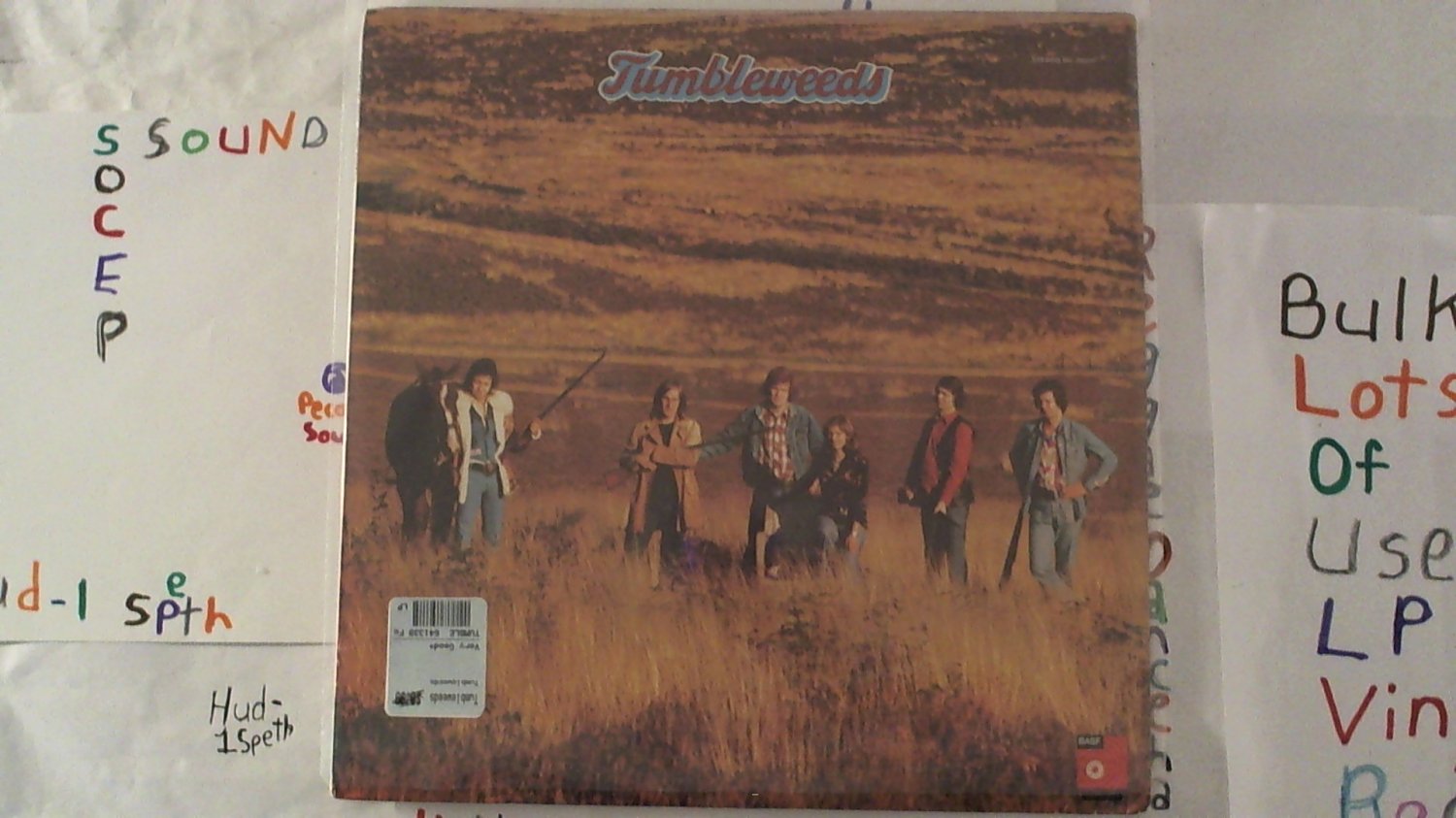 artiste: Tumbleweeds title: Tumbleweeds label: BASF (Used) Dutch Country Music LP
