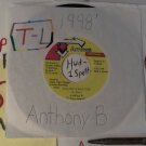 artiste: Anthony B side A: Jah Jah A Wi Guide / B: Version label: Arrows Records