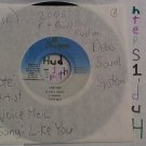 artiste: Voice Mail side A: Like You / B: Pit Bull label: Dawg House (Used) 7"