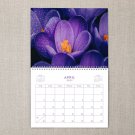 Flower Photo Cover - Weekly 2023