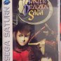 Panzer Dragoon Saga art Discs Custom Reproduction Case and Art Disc for Sega Saturn