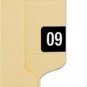 Smead 67909 ETS-09 Single Year 2009 Labels Pack of 250 Labels for End Tab Folder