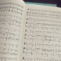 Sigmund Romberg Song Album Piano Sheet Music Drinking Jazz Age Books I & II nice