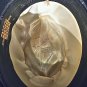 Saks Fifth Avenue vintage black fedora style hat hatter 7 1/4 Fredkelly New York