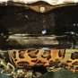 VINTAGE Maya Womens Leopard pattern Resin Framed Clutch Handbag Brown black gold