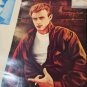 Vintage Original 1986 James Dean Rebel Without A Cause Movie Promo Poster Wood