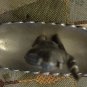 Vintage TINN Pewter Viking Norge Warrior Ship TRB Handstopt Norway broken dragon