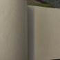 Vintage restored American Scenery Willis William Bartlett 1st Ed 1840 Engravings