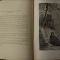 Vintage 1880 The Dore Bible Gallery book illustrated by Gustave 100 Engravings
