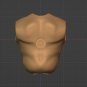 Medium Muscle torso Unpainted