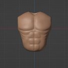 Small Muscle Torso Unpainted