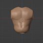 Small Muscle Torso Unpainted