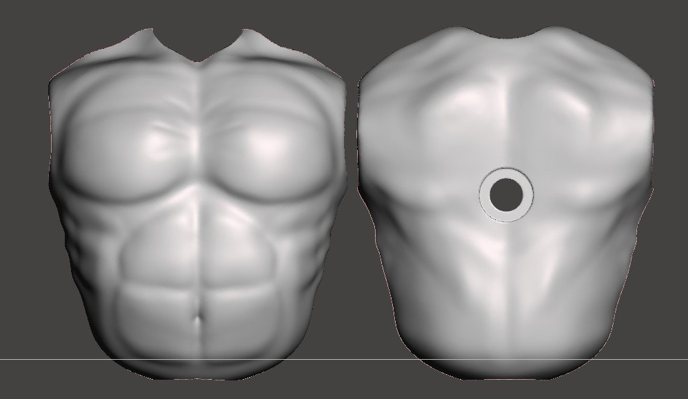 Animal Torso Unpainted