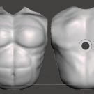 Animal Torso Unpainted