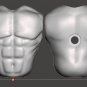 Small Muscle Torso Update Unpainted