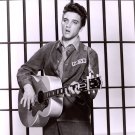 Elvis Presley 8x10 Photo #B6752