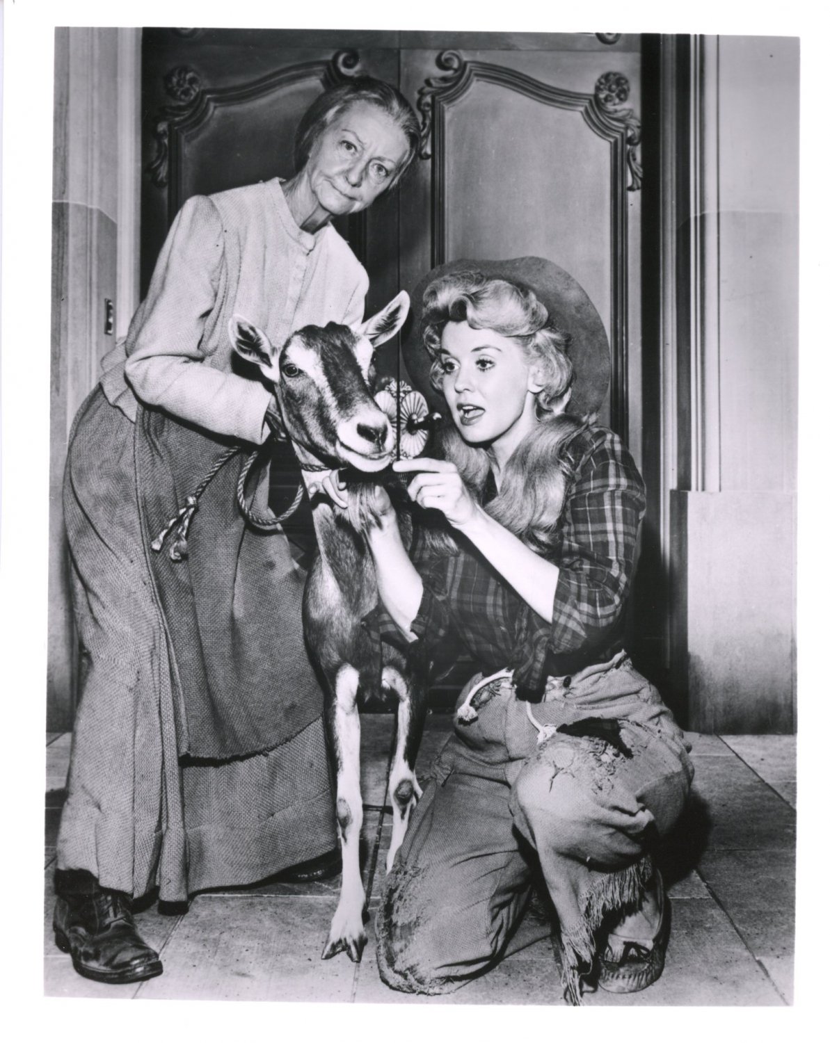 Character nancy dow beverly hillbillies photos