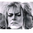 David Bowie 8x10 glossy photo #B6416