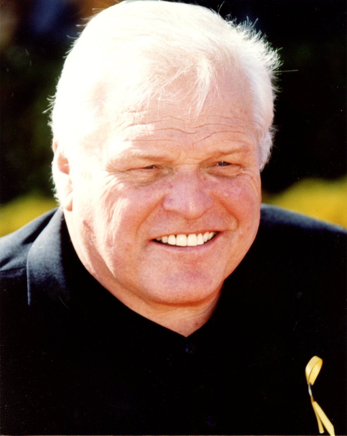 Brian Dennehy 8x10 glossy photo #B2997