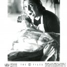 Gillian Anderson X Files 8x10 glossy photo #B5203
