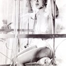 Josephine Baker 8x10 glossy photo #B5128